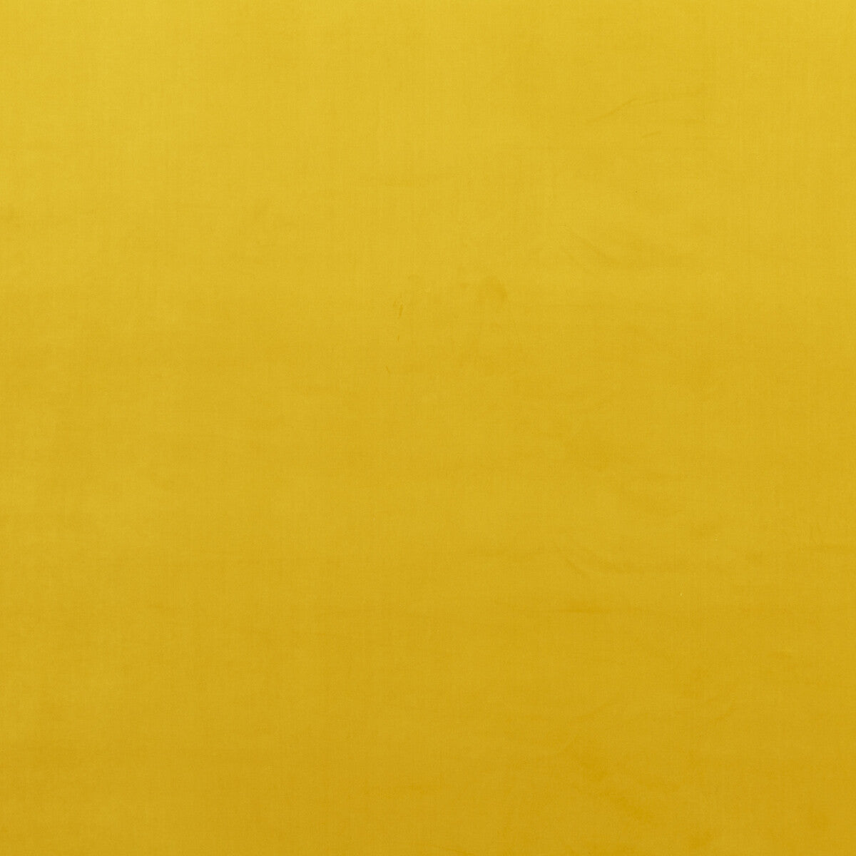 Baker Lifestyle Montpellier Velvet Ochre Fabric PF50417.840.0