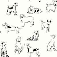 Stacy Garcia Home Best in Show Onyx Peel & Stick Wallpaper SG10400