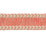 Kravet Design Suraj Coral Trim T30683.2416.0