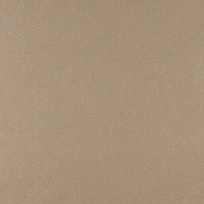 Charlotte Camel Fabric Sample TD-Camel