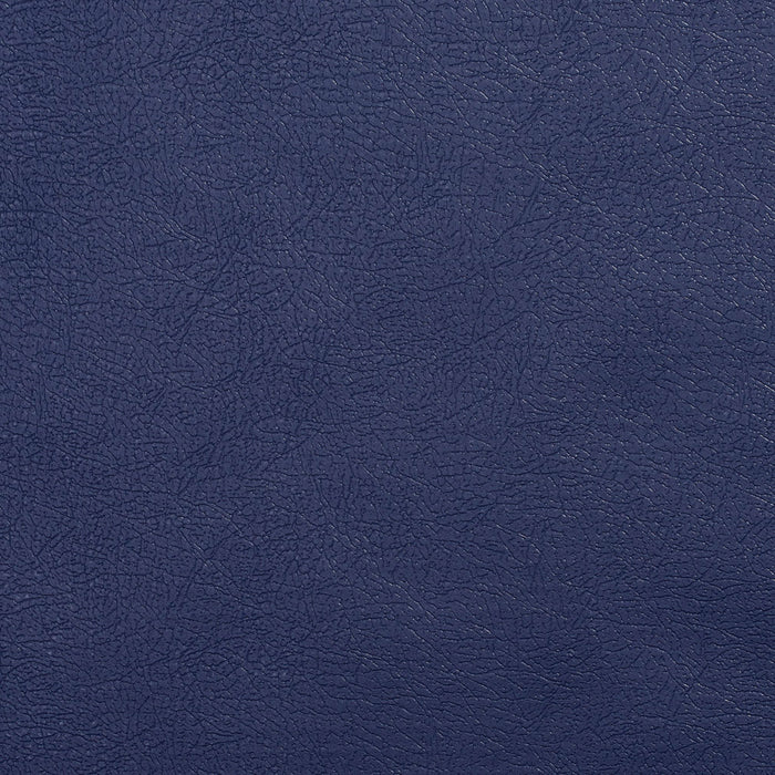 Charlotte Navy Fabric Sample TD-NaVy