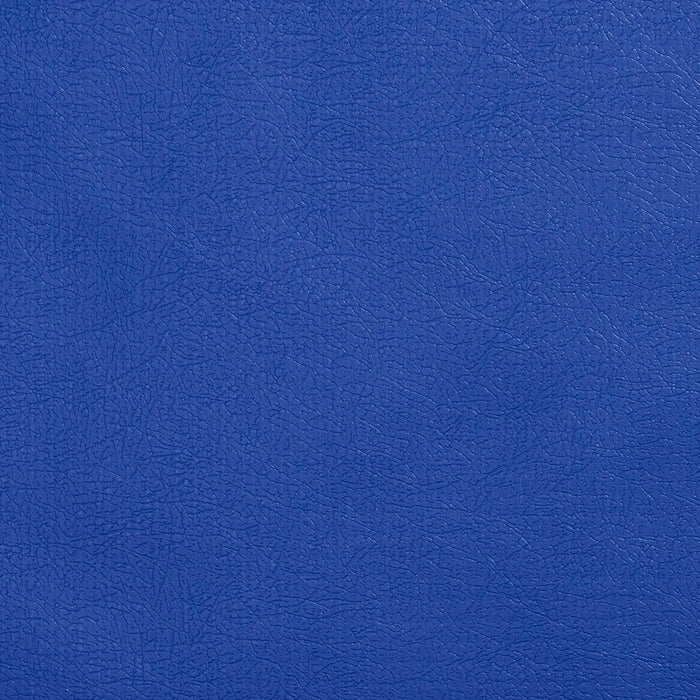 Charlotte Royal Fabric Sample TD-Royal