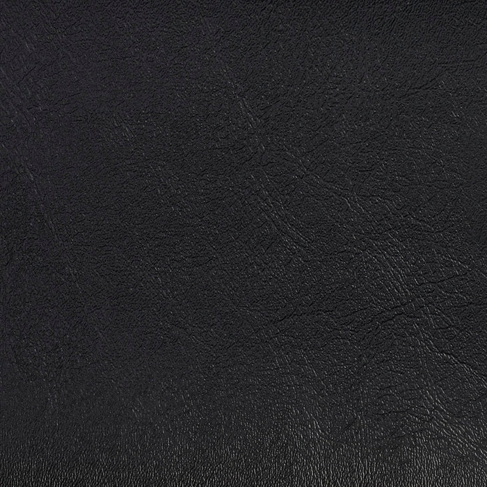 Charlotte Black Fabric Sample V115