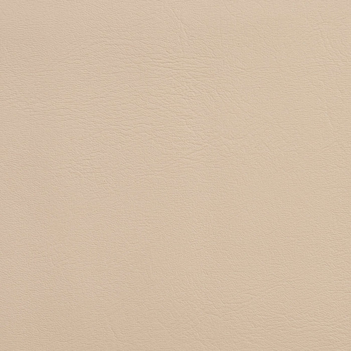 Charlotte Bisque Fabric Sample V128