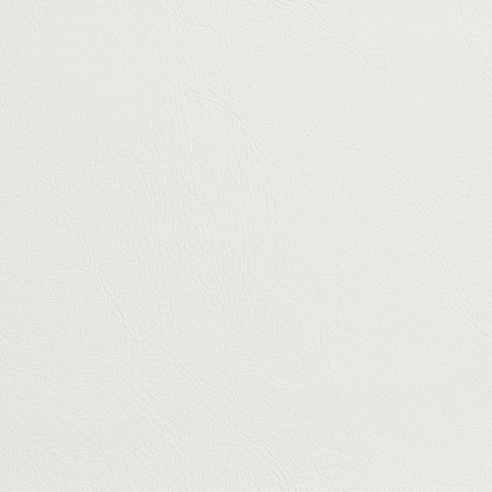 Charlotte White Fabric Sample V131