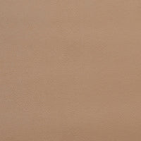 Charlotte Sandalwood Fabric V143