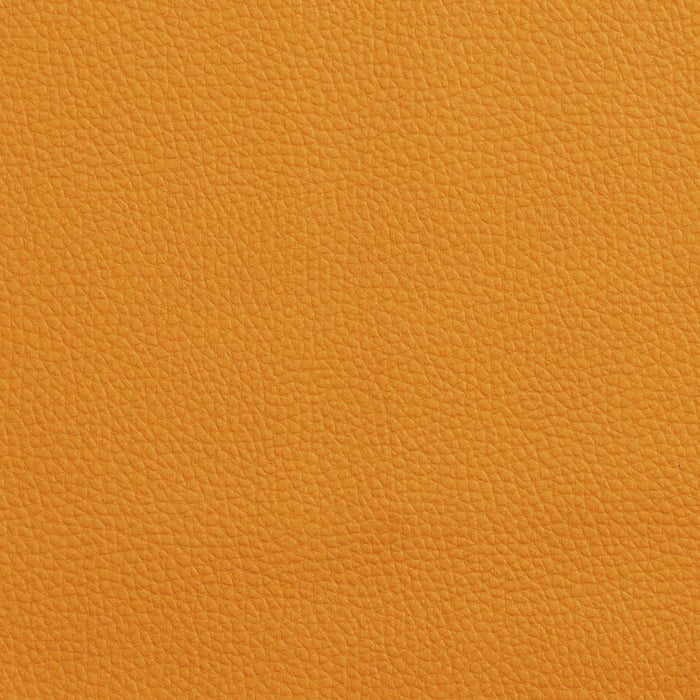 Charlotte Mango Fabric Sample V151