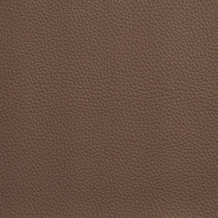 Charlotte Cocoa Fabric Sample V155