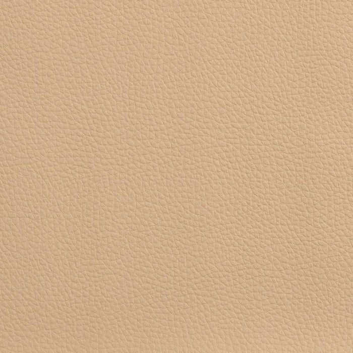Charlotte Sand Fabric Sample V156