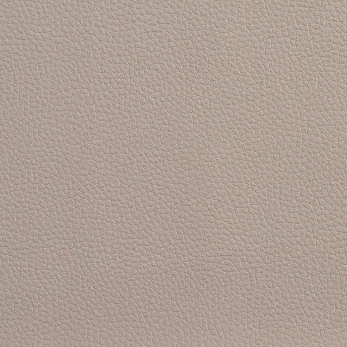 Charlotte Taupe Fabric Sample V157