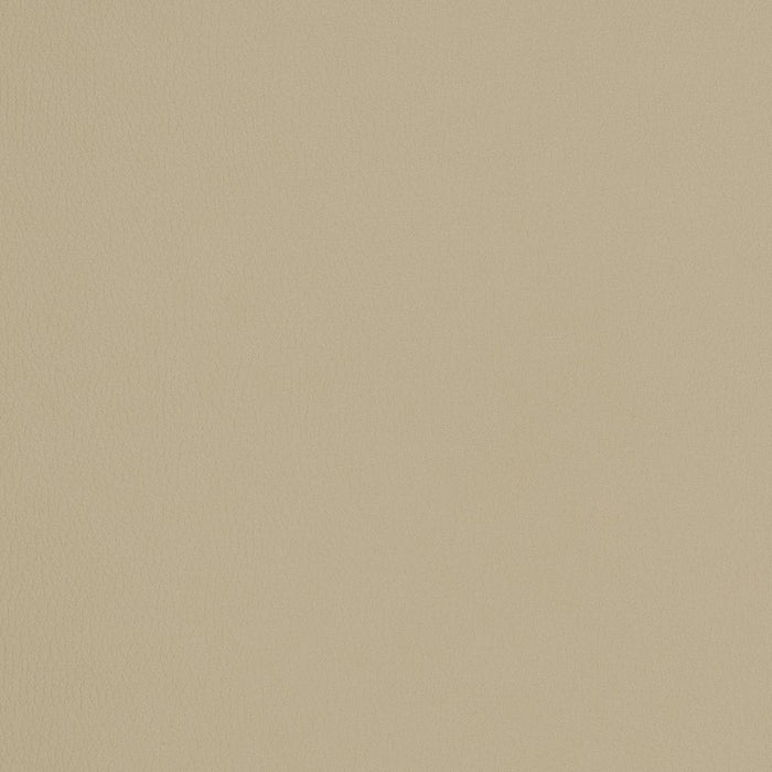 Charlotte Khaki Fabric Sample V159