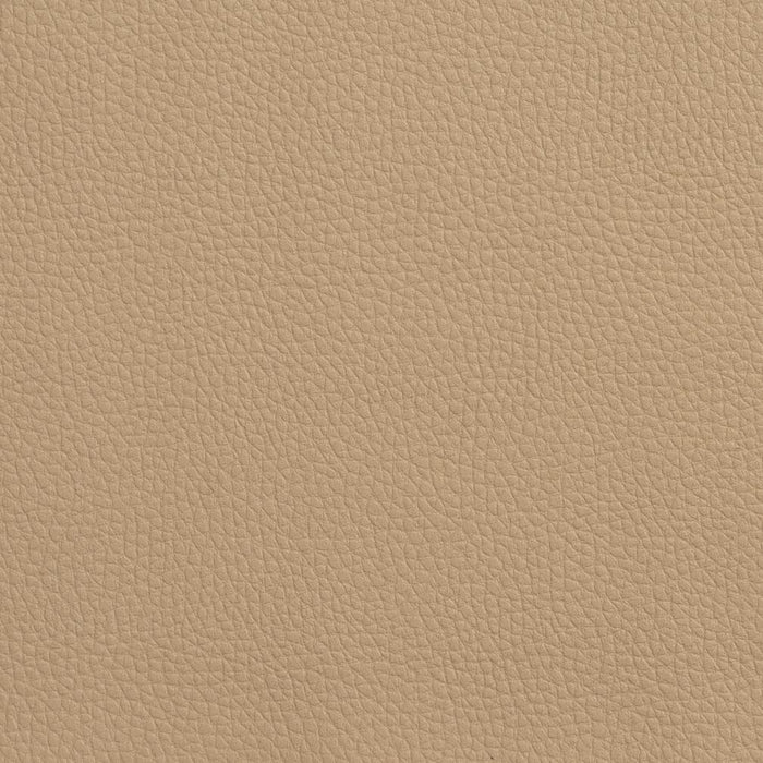 Charlotte Desert Fabric Sample V160