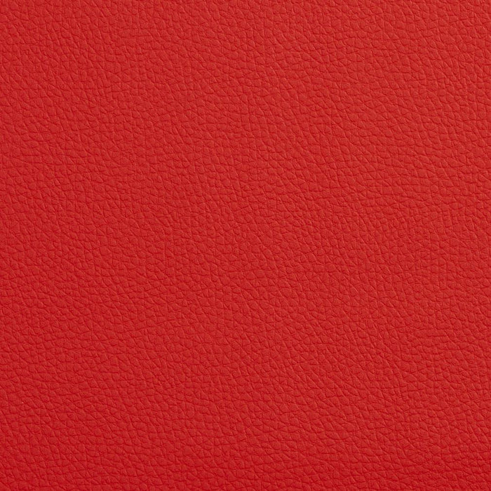 Charlotte Red Fabric Sample V163