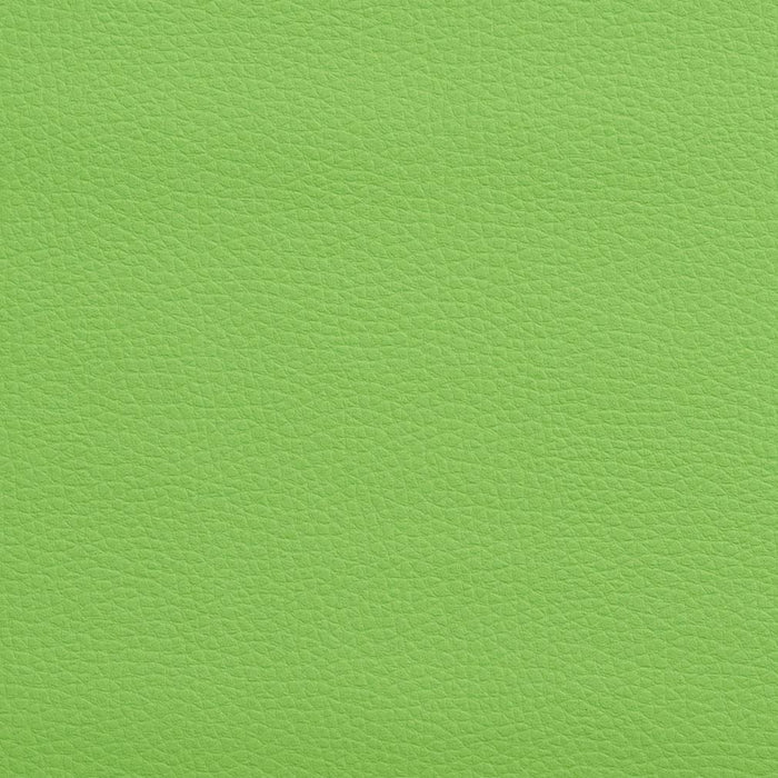 Charlotte Lime Fabric Sample V164