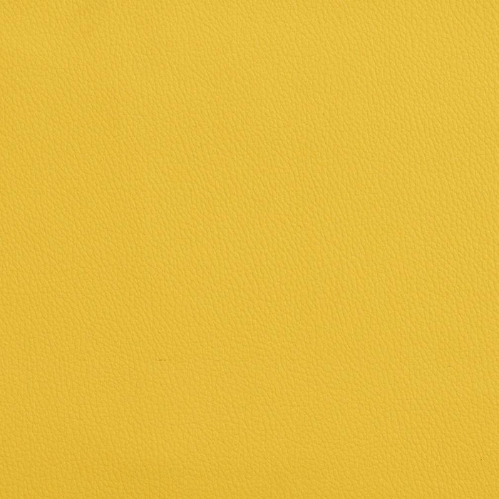 Charlotte Sunshine Fabric Sample V165
