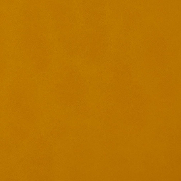 Charlotte Saffron Fabric Sample V202