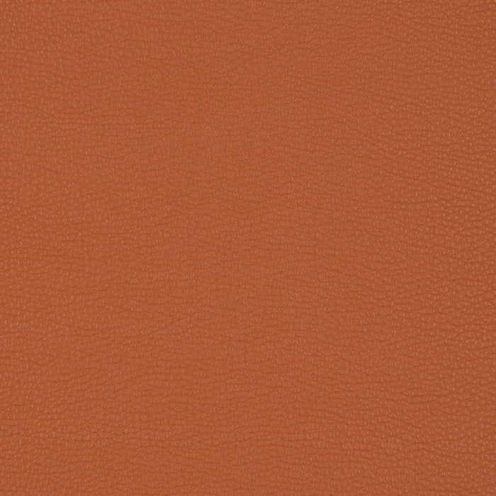 Charlotte Sienna Fabric Sample V203