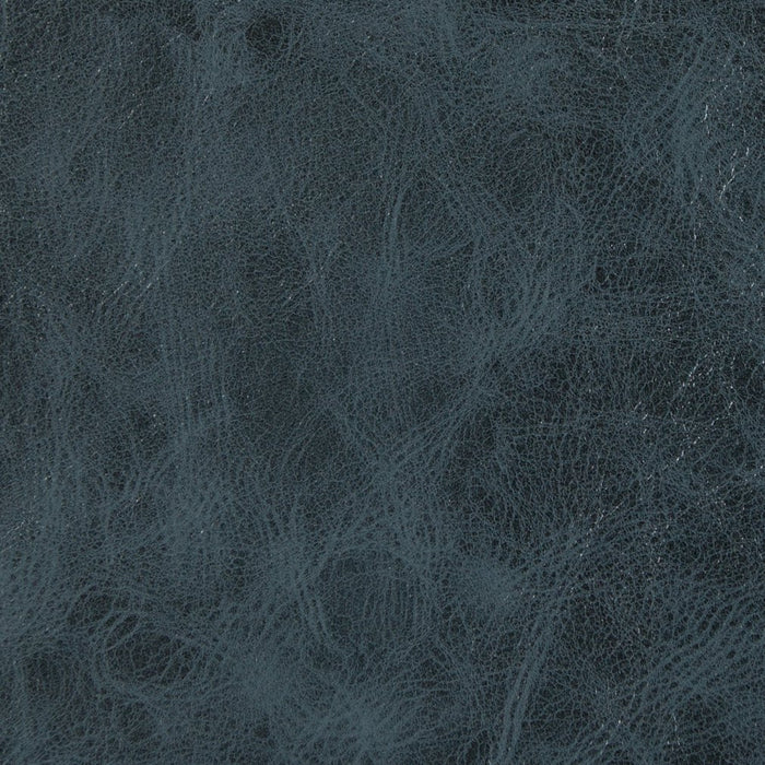 Charlotte Denim Fabric Sample V204