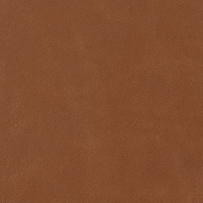 Charlotte Pecan Fabric Sample V205