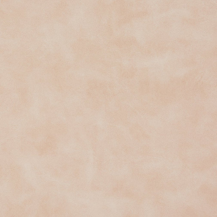 Charlotte Blush Fabric Sample V210