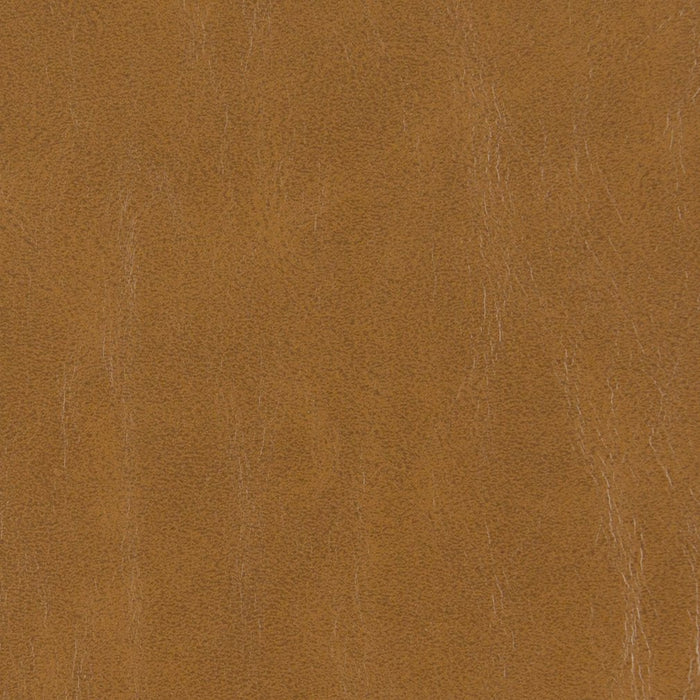 Charlotte Hazelnut Fabric Sample V214
