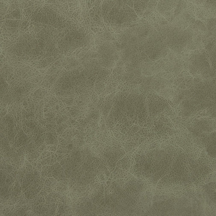 Charlotte Mountain Fabric Sample V215