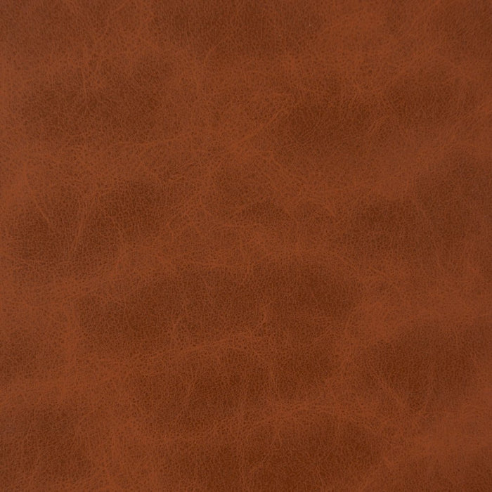Charlotte Cinnamon Fabric Sample V221