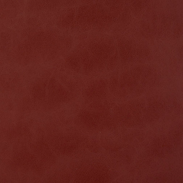 Charlotte Cherry Fabric Sample V223