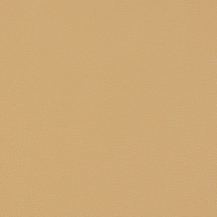 Charlotte Beach Fabric Sample V229