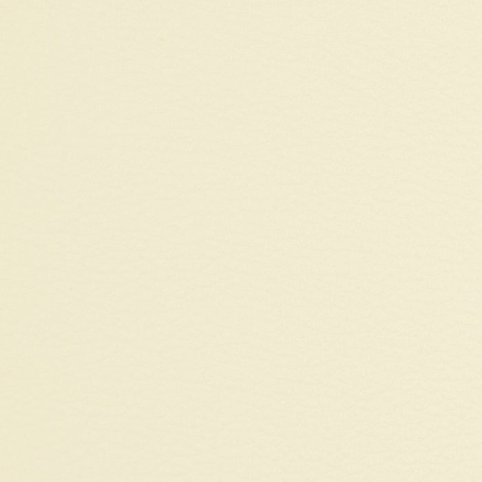 Charlotte Eggshell Fabric Sample V230
