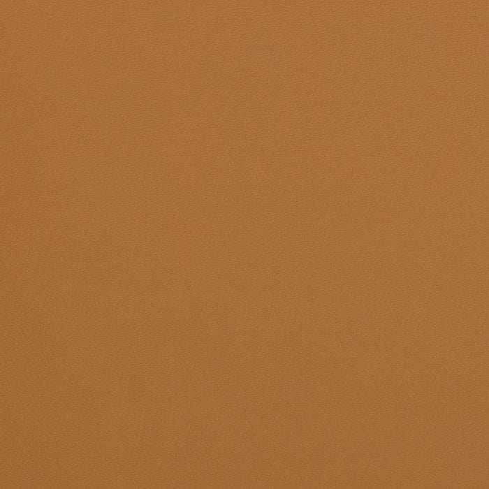 Charlotte Sable Fabric Sample V280