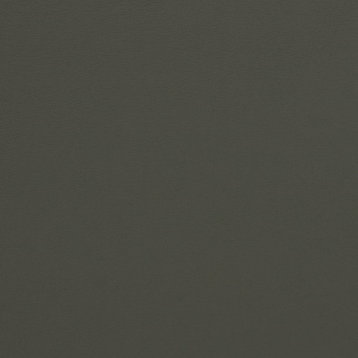 Charlotte Charcoal Fabric Sample V281