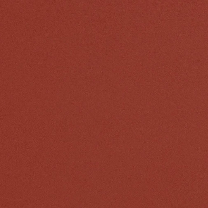 Charlotte Paprika Fabric Sample V284