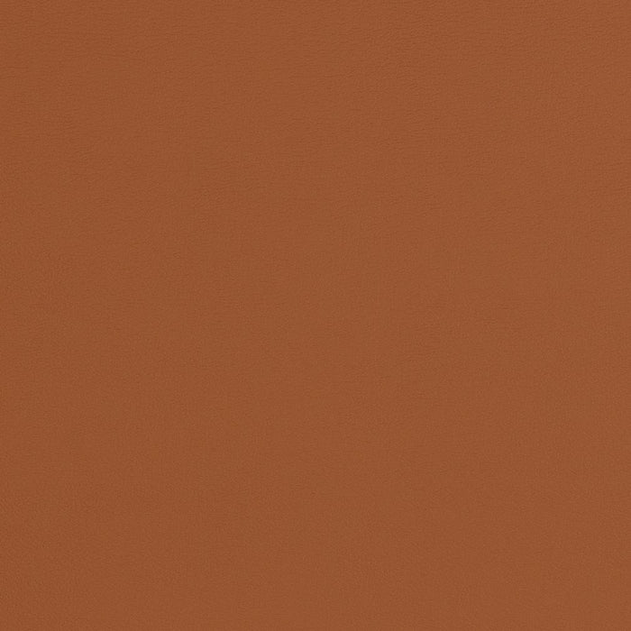 Charlotte Cognac Fabric Sample V285
