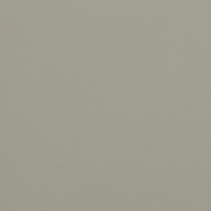 Charlotte Steel Fabric Sample V291