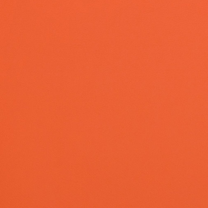 Charlotte Spice Fabric Sample V295