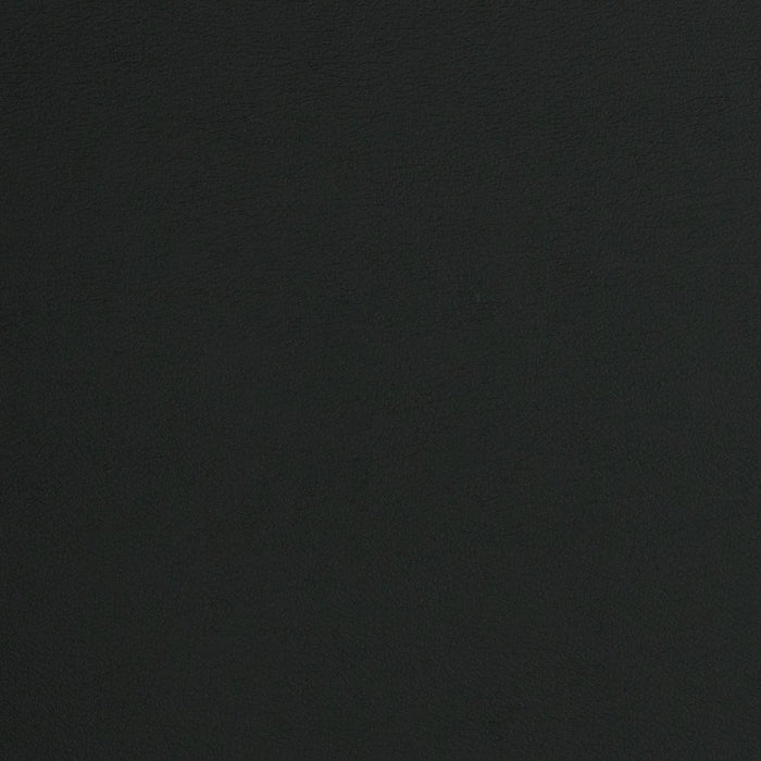 Charlotte Black Fabric Sample V297