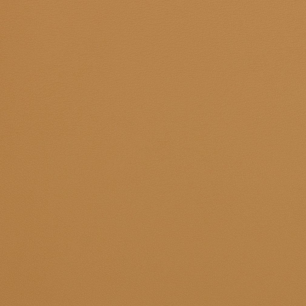 Charlotte Palomino Fabric V306