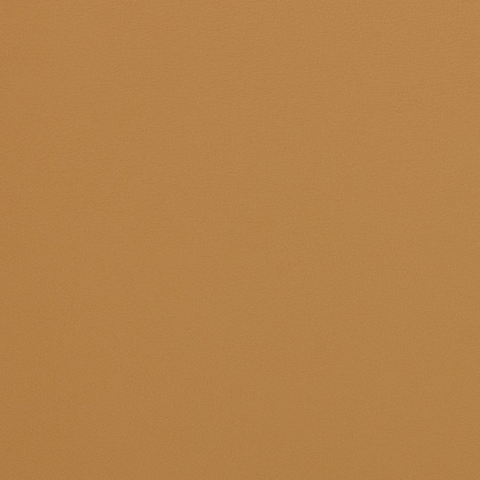 Charlotte Palomino Fabric Sample V306