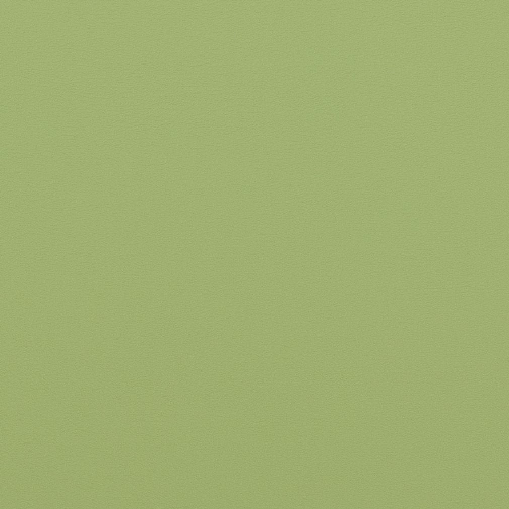 Charlotte Meadow Fabric V307