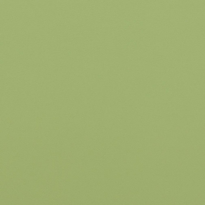Charlotte Meadow Fabric V307