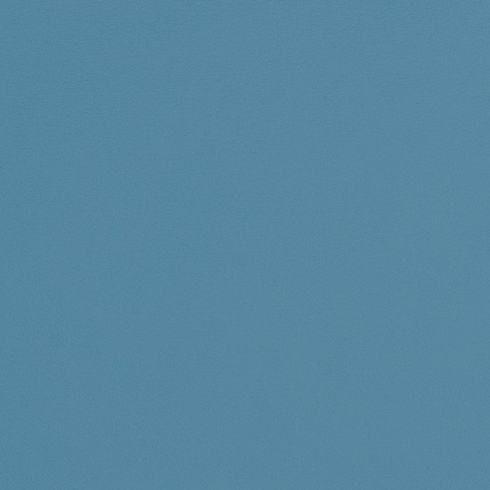 Charlotte Sky Fabric Sample V309