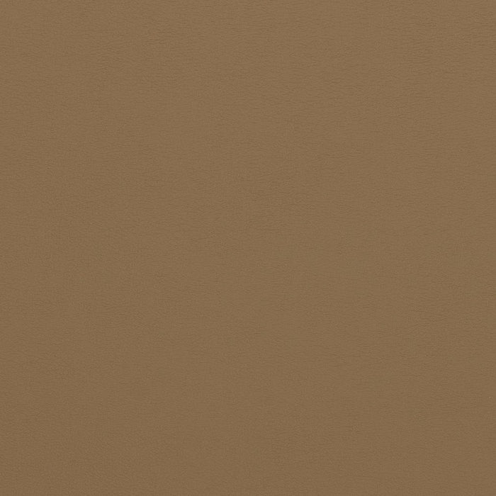 Charlotte Latte Fabric Sample V310