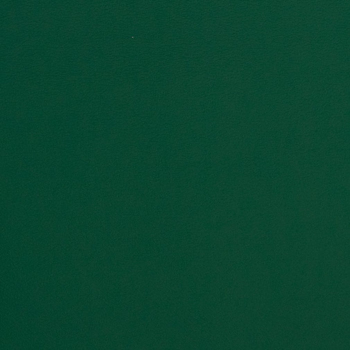Charlotte Evergreen Fabric Sample V312