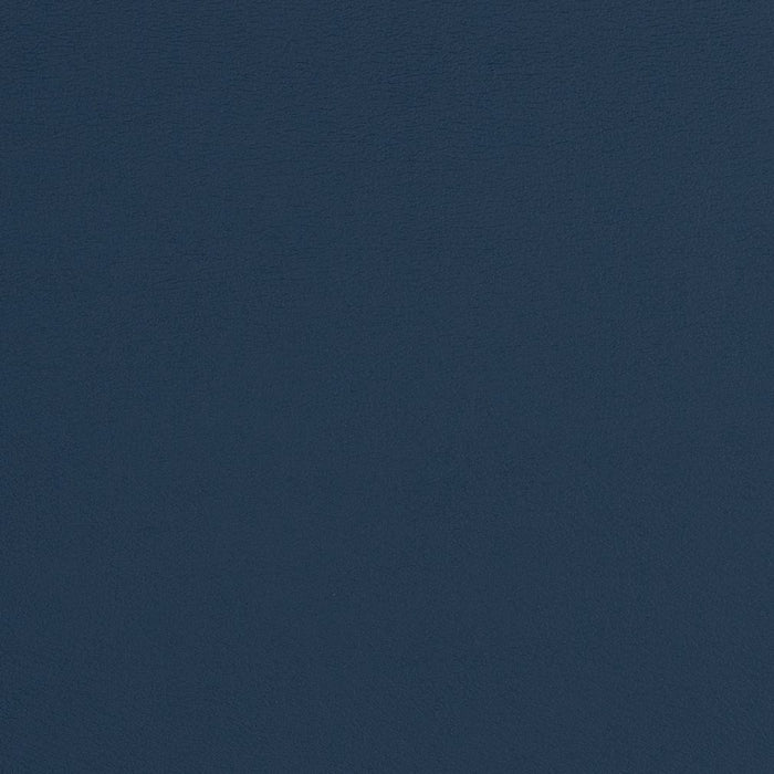 Charlotte Imperial Fabric Sample V314