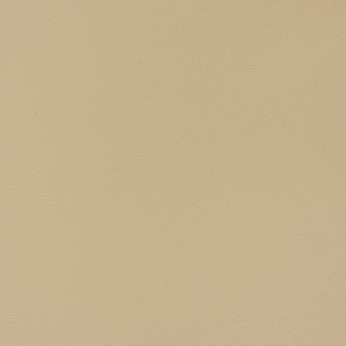 Charlotte Neutral Fabric Sample V340
