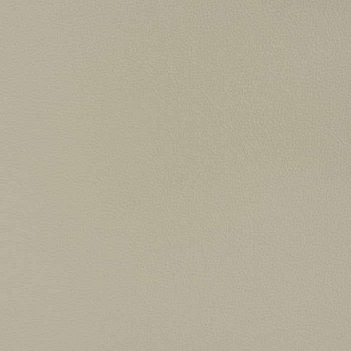 Charlotte Chrome Fabric Sample V341