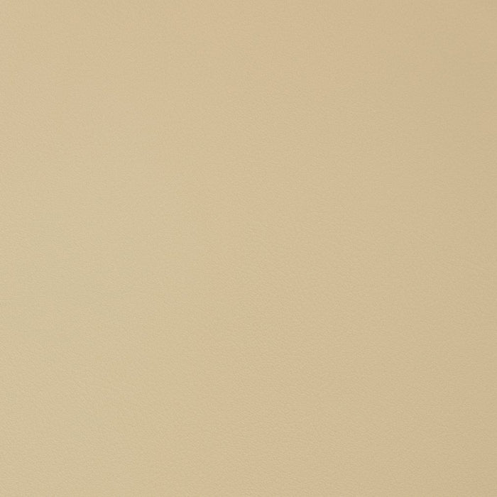 Charlotte Parchment Fabric Sample V342