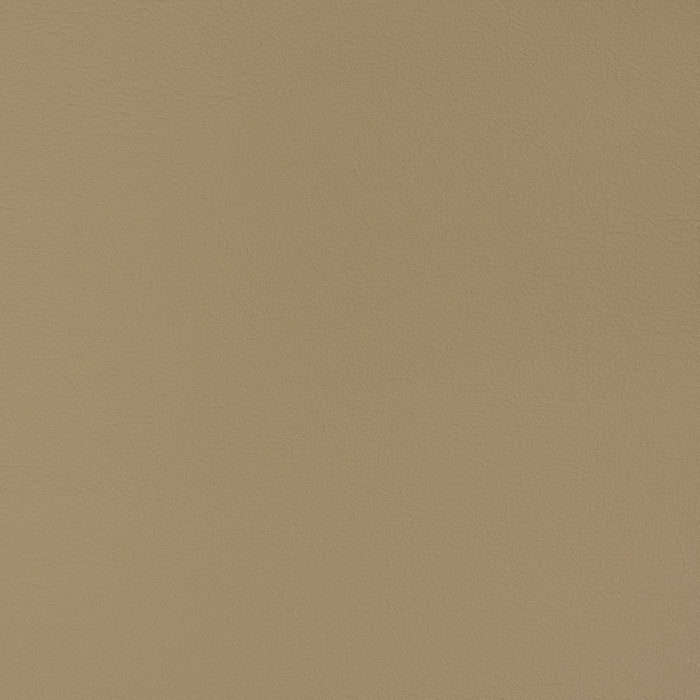 Charlotte Cappuccino Fabric Sample V344