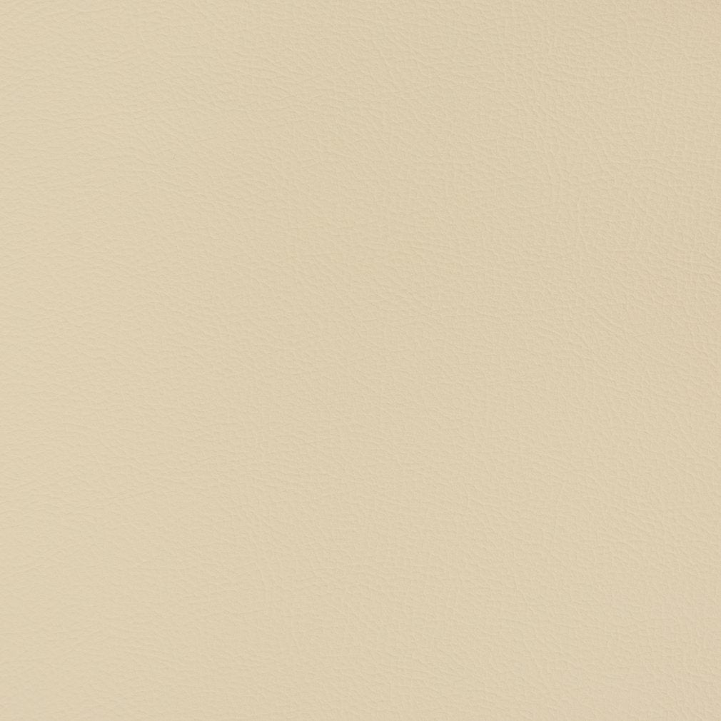 Charlotte Sand Dollar Fabric V346